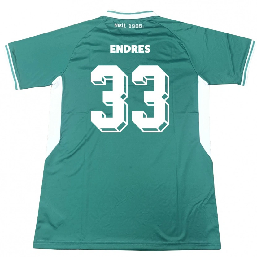 Danxen Heren Joshua Endres #33 Groen Wit Thuisshirt Thuistenue 2025/26 T-Shirt België