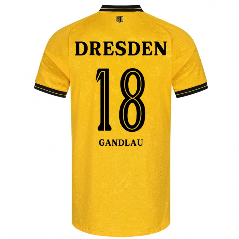Danxen Dames Quentin Gandlau #18 Geel Zwart Thuisshirt Thuistenue 2025/26 T-Shirt België