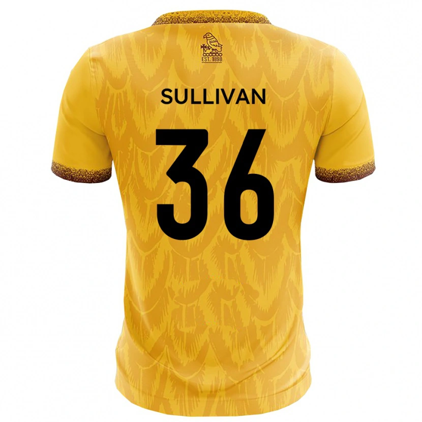 Danxen Kinderen Cameron Sullivan #36 Geel Bruin Thuisshirt Thuistenue 2025/26 T-Shirt België
