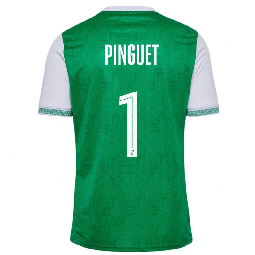 Danxen Kinderen Alice Pinguet #1 Groen Wit Thuisshirt Thuistenue 2025/26 T-Shirt België