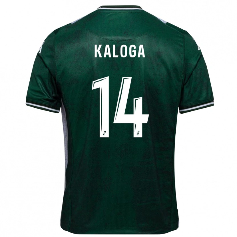 Danxen Kinderen Amallah Kaloga #14 Groen Wit Thuisshirt Thuistenue 2025/26 T-Shirt België
