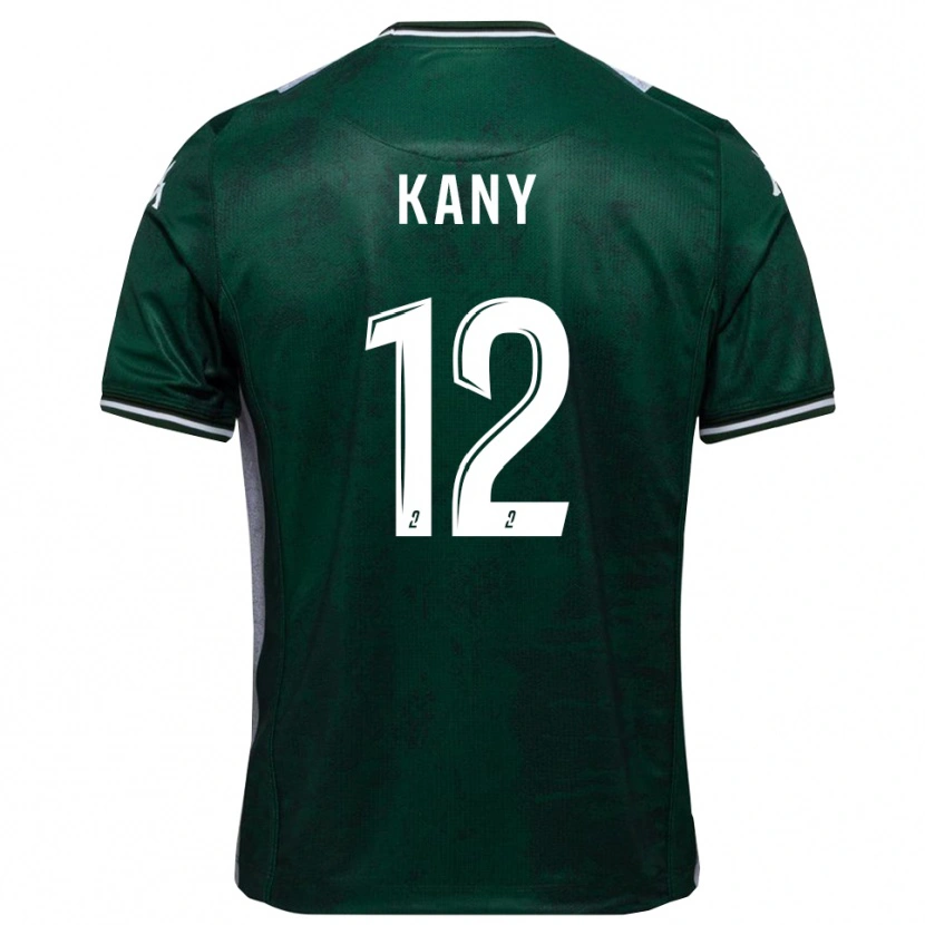 Danxen Heren Vincent Kany #12 Groen Wit Thuisshirt Thuistenue 2025/26 T-Shirt België