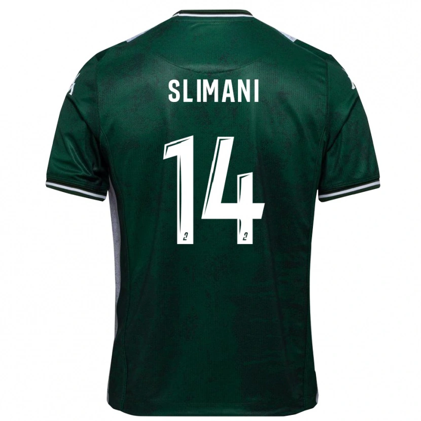 Danxen Dames Rayan Slimani #14 Groen Wit Thuisshirt Thuistenue 2025/26 T-Shirt België