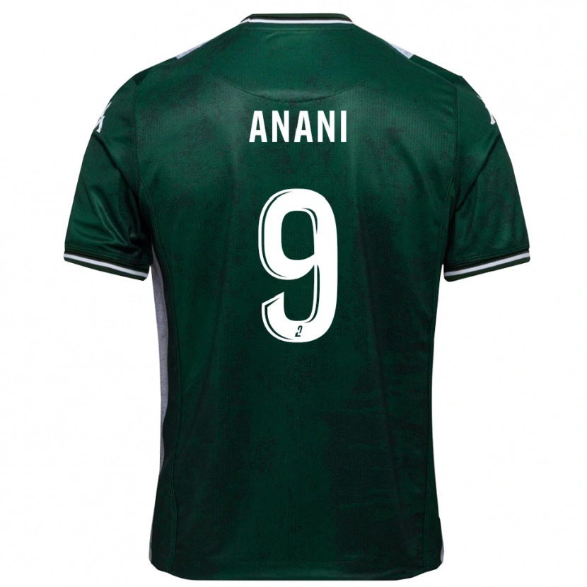 Danxen Dames Achille Anani #9 Groen Wit Thuisshirt Thuistenue 2025/26 T-Shirt België