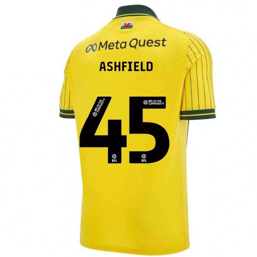 Danxen Dames Harry Ashfield #45 Geel Groen Uitshirt Uittenue 2025/26 T-Shirt België