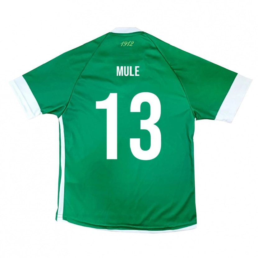Danxen Dames Erasmo Mulè #13 Groen Wit Thuisshirt Thuistenue 2025/26 T-Shirt België