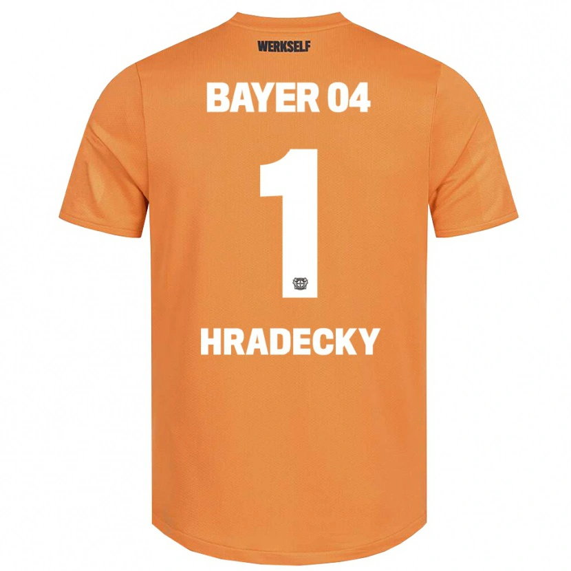 Danxen Kinderen Lukas Hradecky #1 Zandkleurig Bruin Keepersshirt 2025/26 T-Shirt België