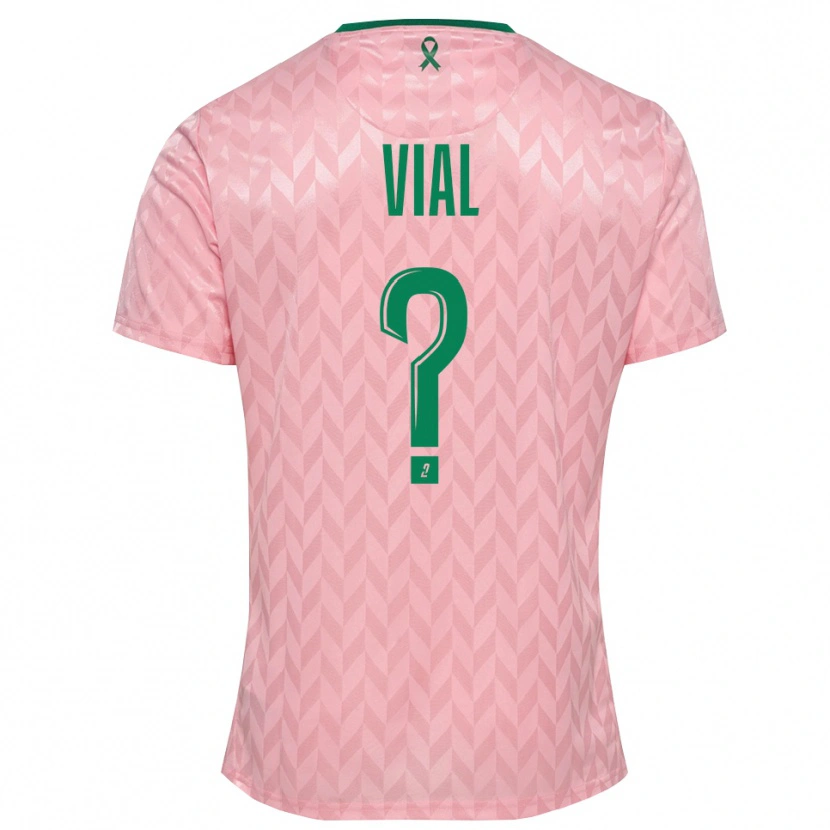 Danxen Kinderen Lorik Vial #0 Roze Groen Keepersshirt 2025/26 T-Shirt België