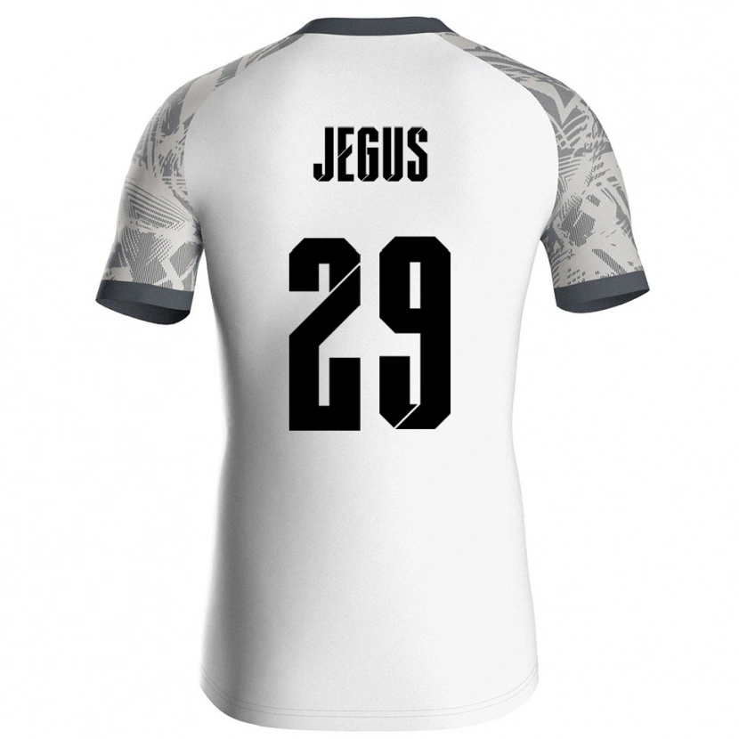 Danxen Heren Leonard Jegus #29 Grijs Wit Keepersshirt 2025/26 T-Shirt België