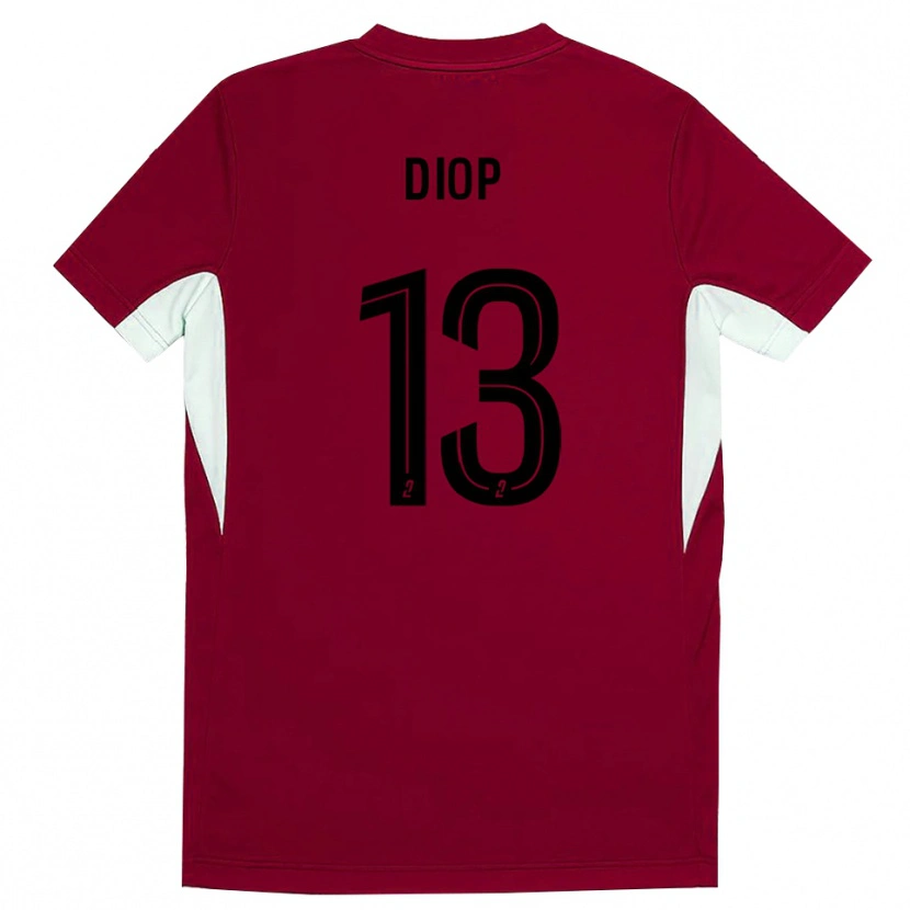 Danxen Heren Mamadou Diop #13 Rode Zwart Keepersshirt 2025/26 T-Shirt België