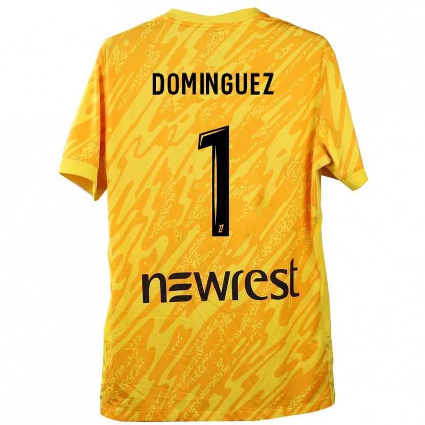 Danxen Heren Álex Domínguez #1 Geel Zwart Keepersshirt 2025/26 T-Shirt België