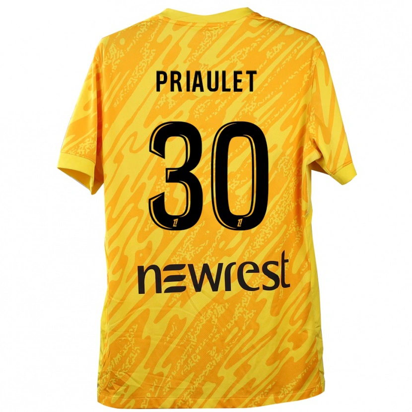 Danxen Heren Anaïs Priaulet #30 Geel Zwart Keepersshirt 2025/26 T-Shirt België