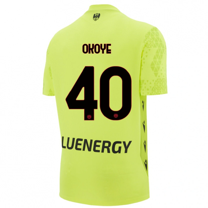 Danxen Heren Maduka Okoye #40 Groen Geel Zwart Keepersshirt 2025/26 T-Shirt België