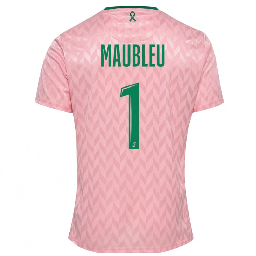 Danxen Heren Brice Maubleu #1 Roze Groen Keepersshirt 2025/26 T-Shirt België