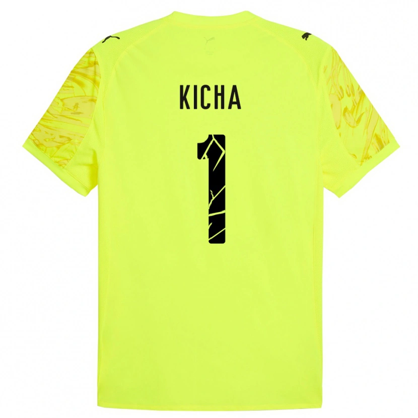 Danxen Heren Tymofiy Kicha #1 Groen Geel Keepersshirt 2025/26 T-Shirt België
