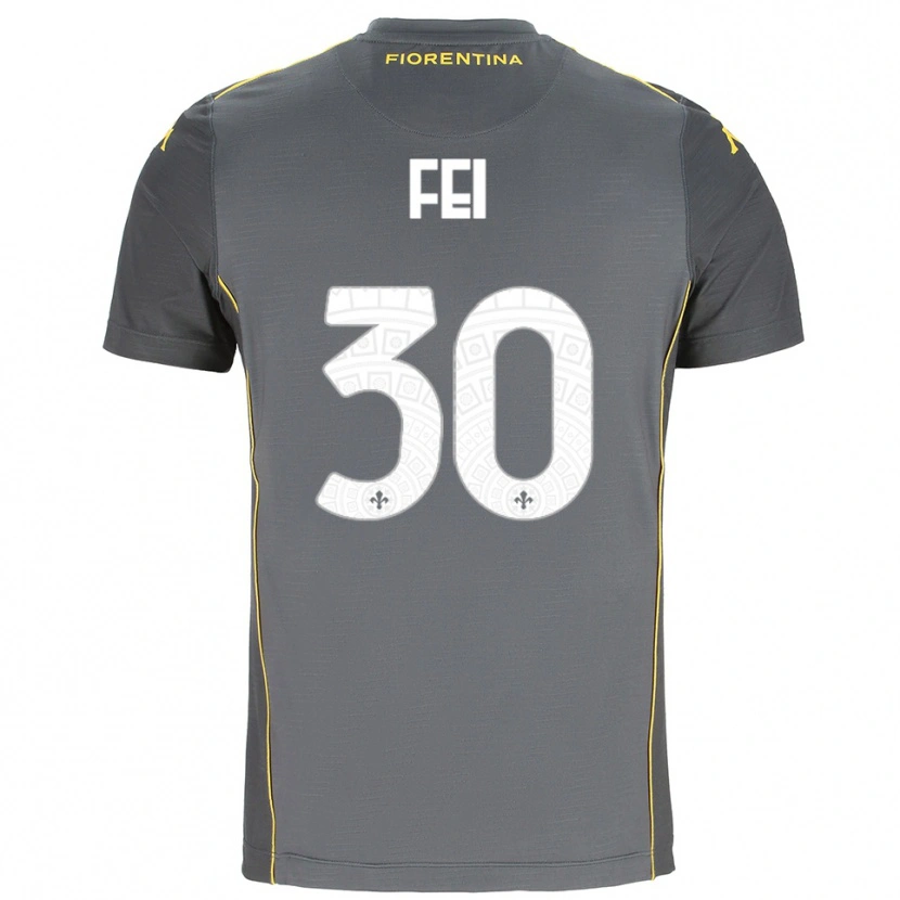 Danxen Dames Gianmaria Fei #30 Donkergrijs Geel Keepersshirt 2025/26 T-Shirt België