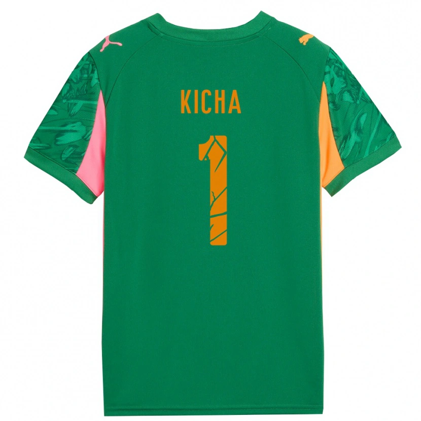 Danxen Dames Tymofiy Kicha #1 Groen Oranje Roze Keepersshirt 2025/26 T-Shirt België