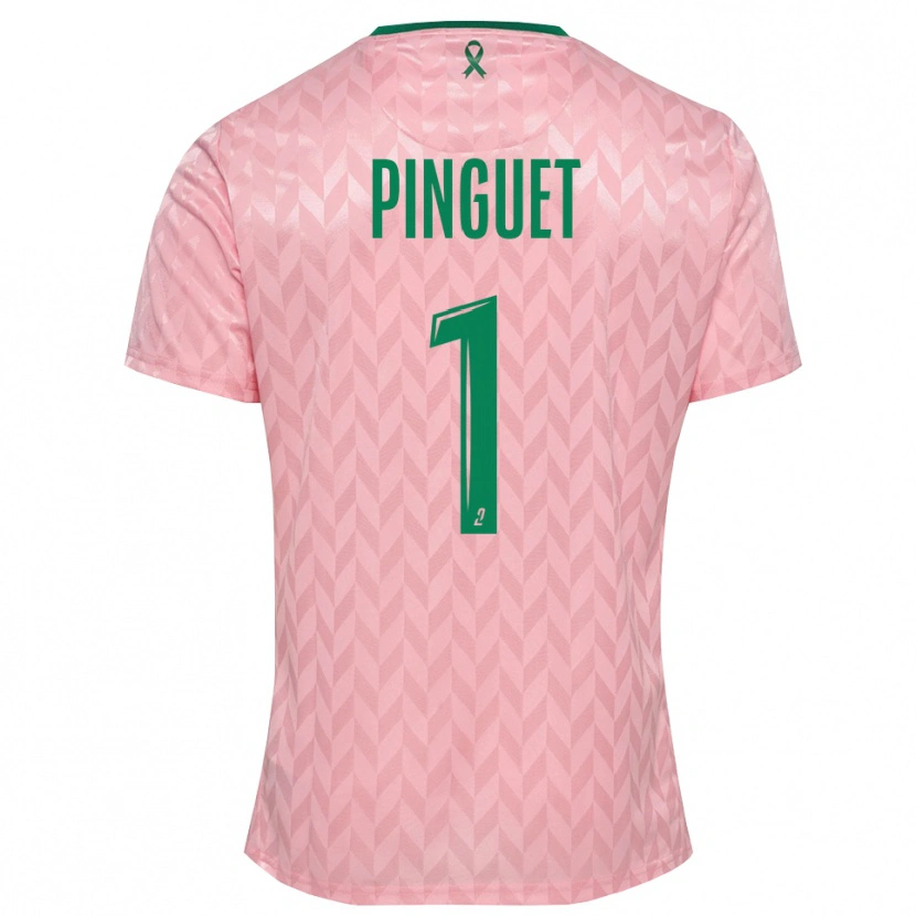 Danxen Dames Alice Pinguet #1 Roze Groen Keepersshirt 2025/26 T-Shirt België