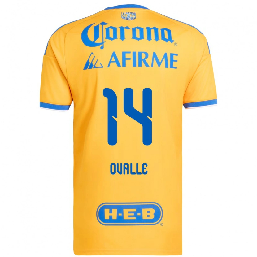 Danxen Kinderen Lizbeth Ovalle #14 Geel Blauw Thuisshirt Thuistenue 2026/27 T-Shirt België