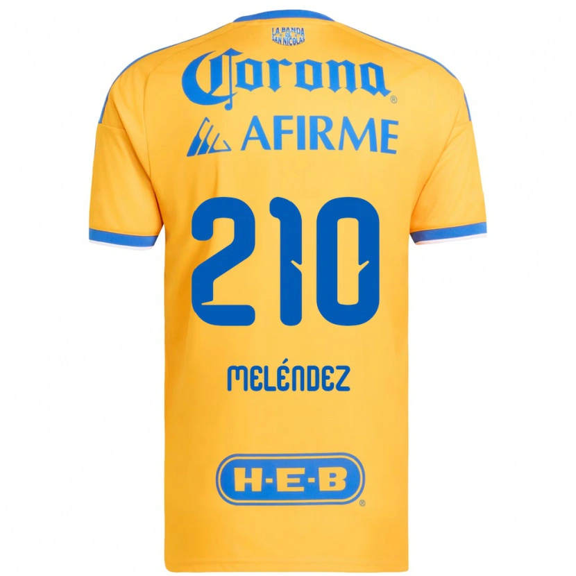 Danxen Heren Marcelo Meléndez #210 Geel Blauw Thuisshirt Thuistenue 2026/27 T-Shirt België