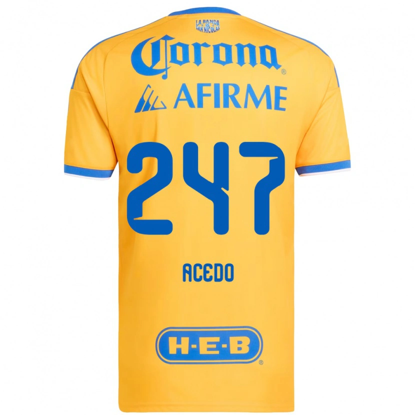 Danxen Heren Kevin Acedo #247 Geel Blauw Thuisshirt Thuistenue 2026/27 T-Shirt België