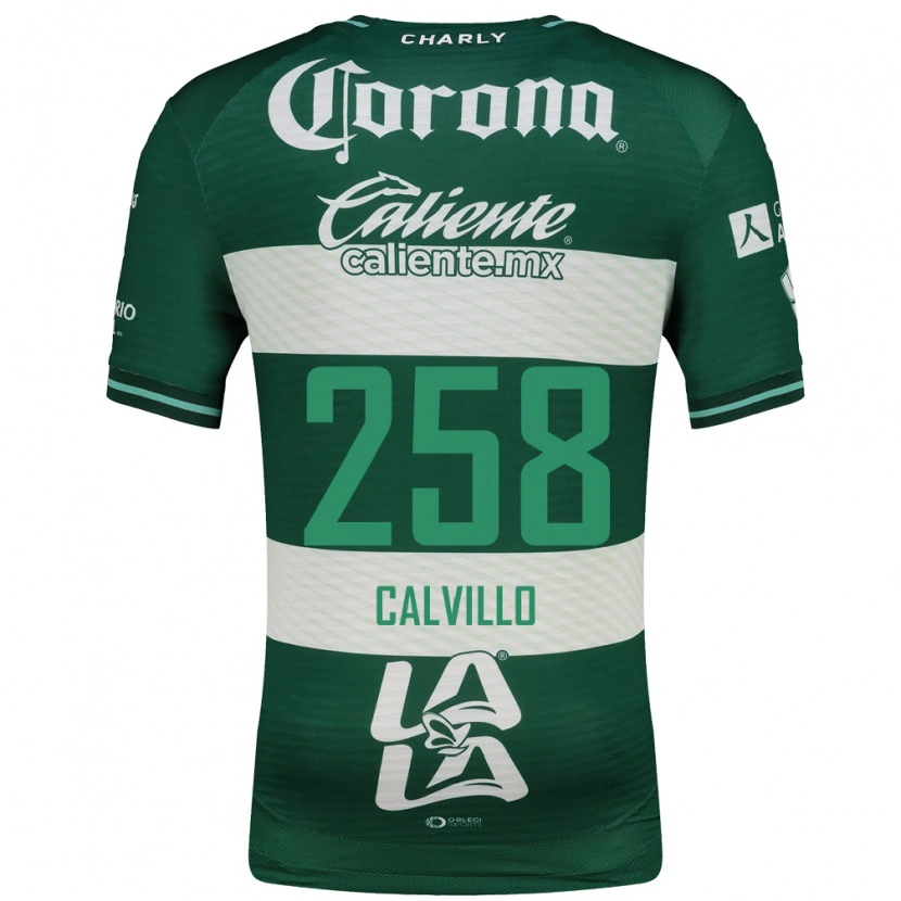 Danxen Heren Carlos Calvillo #258 Groen Wit Thuisshirt Thuistenue 2026/27 T-Shirt België