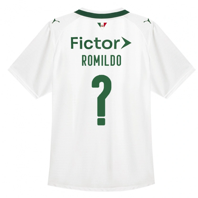 Danxen Heren Romildo Ruan Lopes Barros #0 Groen Wit Uitshirt Uittenue 2026/27 T-Shirt België