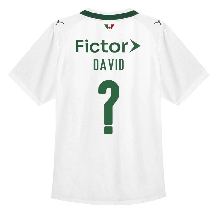 Danxen Heren David #0 Groen Wit Uitshirt Uittenue 2026/27 T-Shirt België