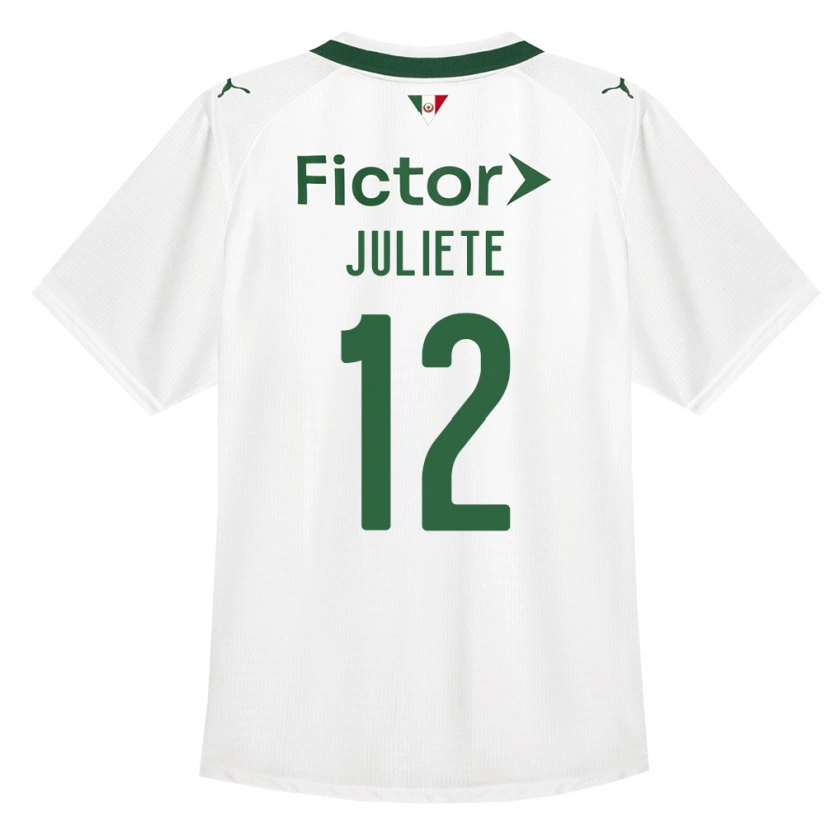 Danxen Heren Juliete #12 Groen Wit Uitshirt Uittenue 2026/27 T-Shirt België