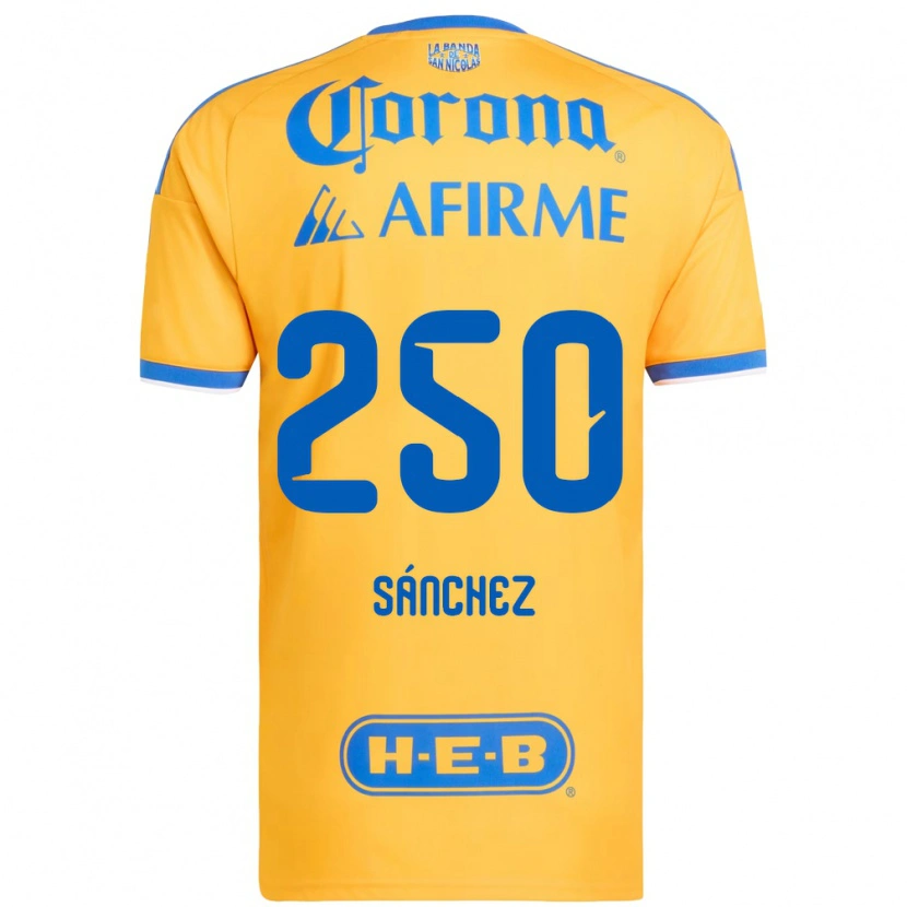 Danxen Dames Fernando Sánchez #250 Geel Blauw Thuisshirt Thuistenue 2026/27 T-Shirt België