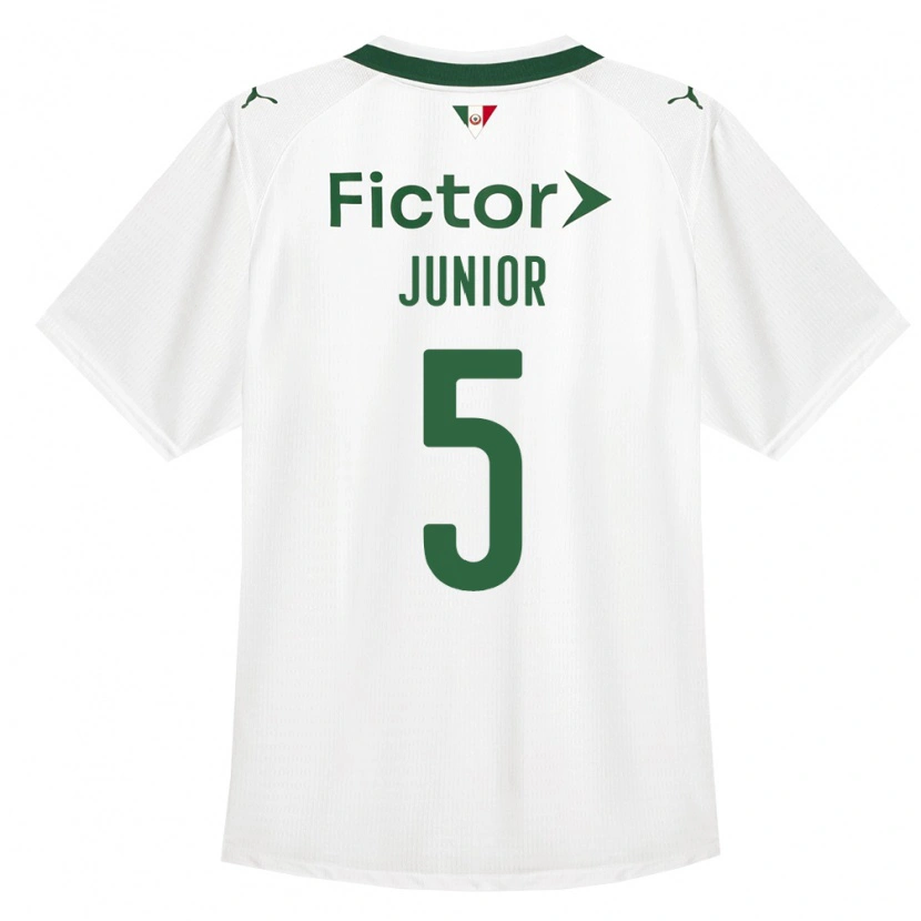 Danxen Dames Amilton Junior #5 Groen Wit Uitshirt Uittenue 2026/27 T-Shirt België
