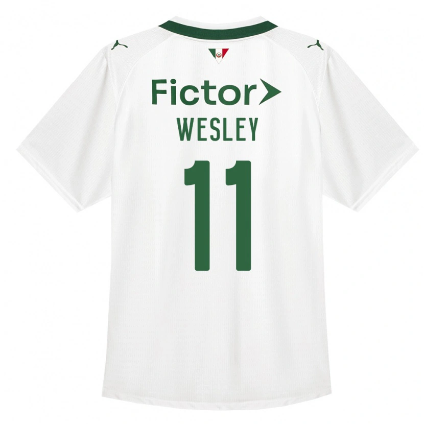 Danxen Dames Wesley #11 Groen Wit Uitshirt Uittenue 2026/27 T-Shirt België