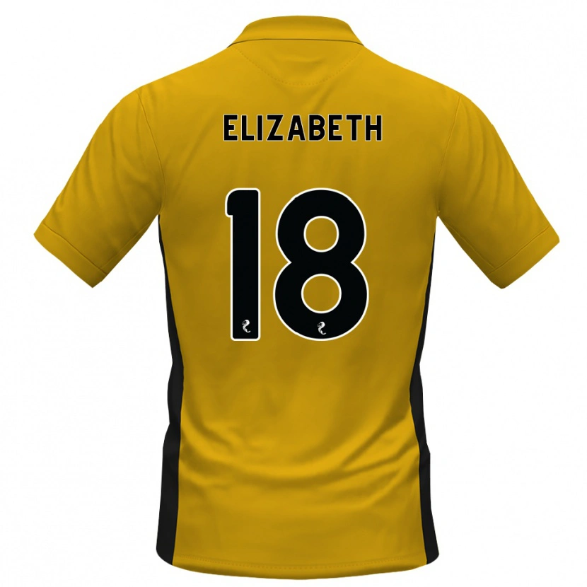 Danxen Heren Ashley Elizabeth #18 Oranje Zwart Thuisshirt Thuistenue 2026/27 T-Shirt België