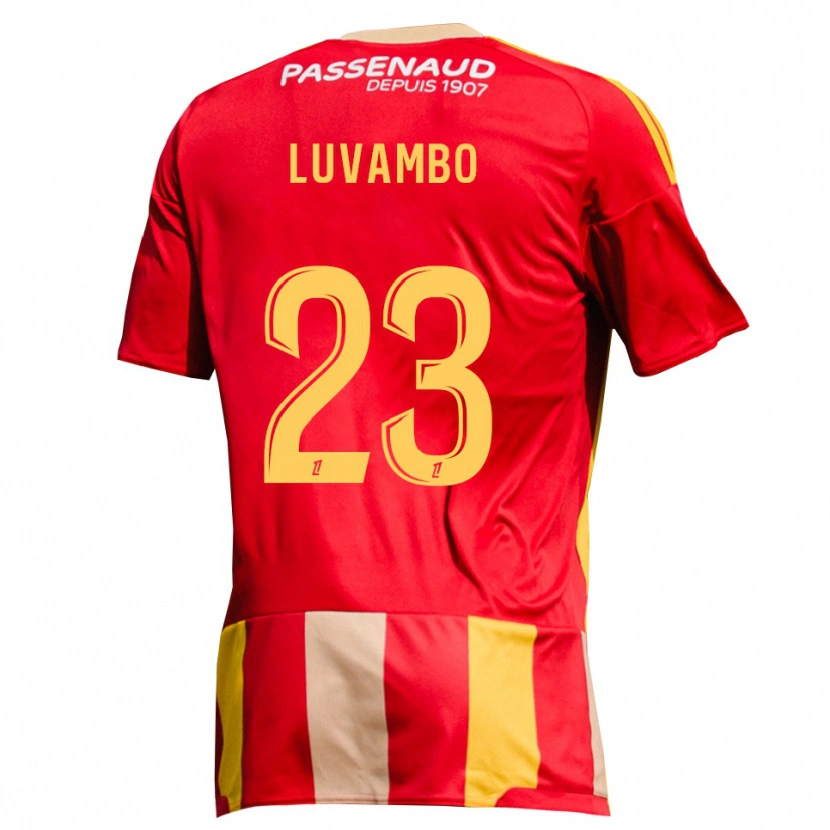 Danxen Heren Taylor Luvambo #23 Geel Rood Groen Thuisshirt Thuistenue 2026/27 T-Shirt België
