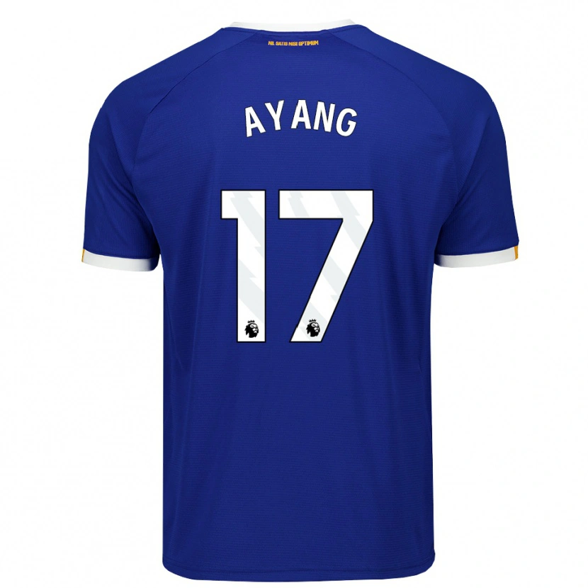 Danxen Heren Godswill Ayang #17 Blauw Wit Geel Thuisshirt Thuistenue 2026/27 T-Shirt België