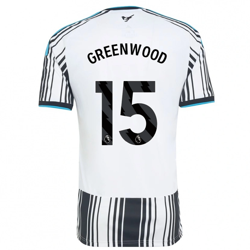 Danxen Heren Hannah Greenwood #15 Hemelsblauw Zwart Wit Thuisshirt Thuistenue 2026/27 T-Shirt België