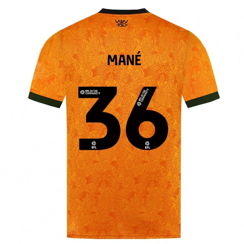 Danxen Heren Mateus Mané #36 Oranje Zwart Thuisshirt Thuistenue 2026/27 T-Shirt België