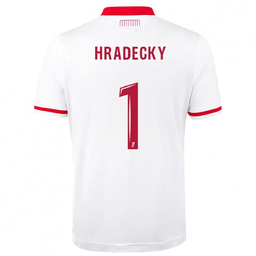 Danxen Kinderen Lukas Hradecky #1 Rood Wit Thuisshirt Thuistenue 2026/27 T-Shirt België