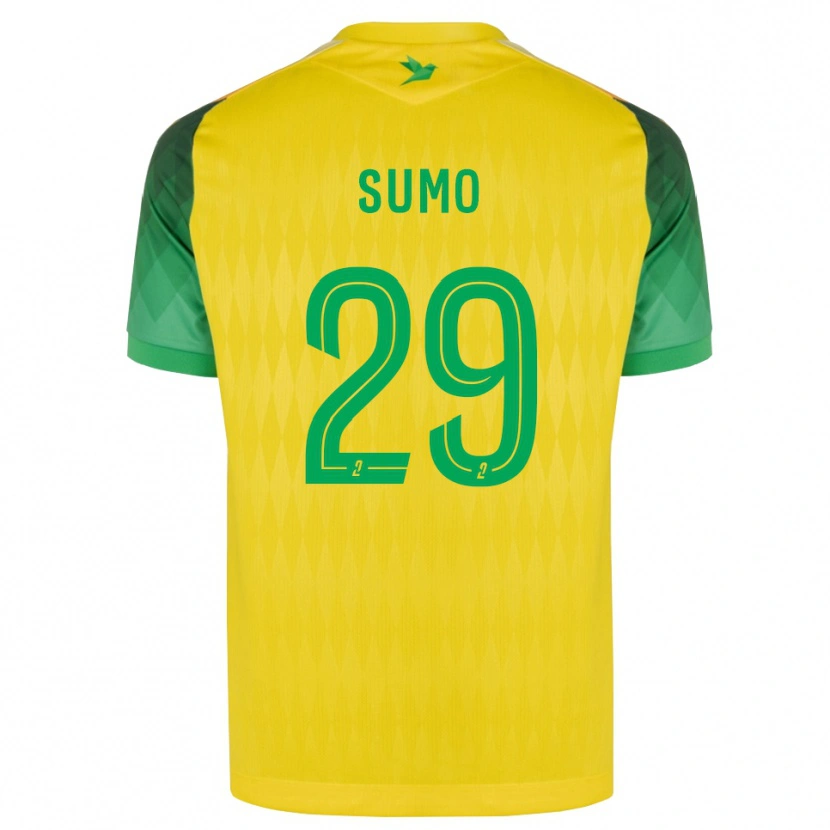 Danxen Kinderen Eva Sumo #29 Geel Groen Rood Thuisshirt Thuistenue 2026/27 T-Shirt België