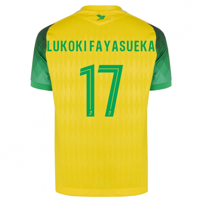 Danxen Heren Kévin Lukoki Fayasueka #17 Geel Groen Rood Thuisshirt Thuistenue 2026/27 T-Shirt België