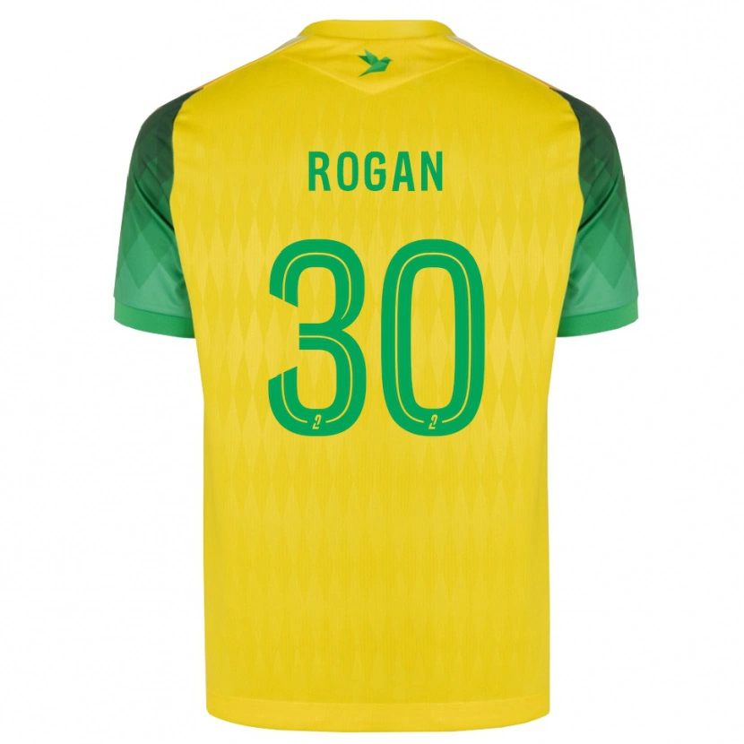 Danxen Heren Manja Rogan #30 Geel Groen Rood Thuisshirt Thuistenue 2026/27 T-Shirt België