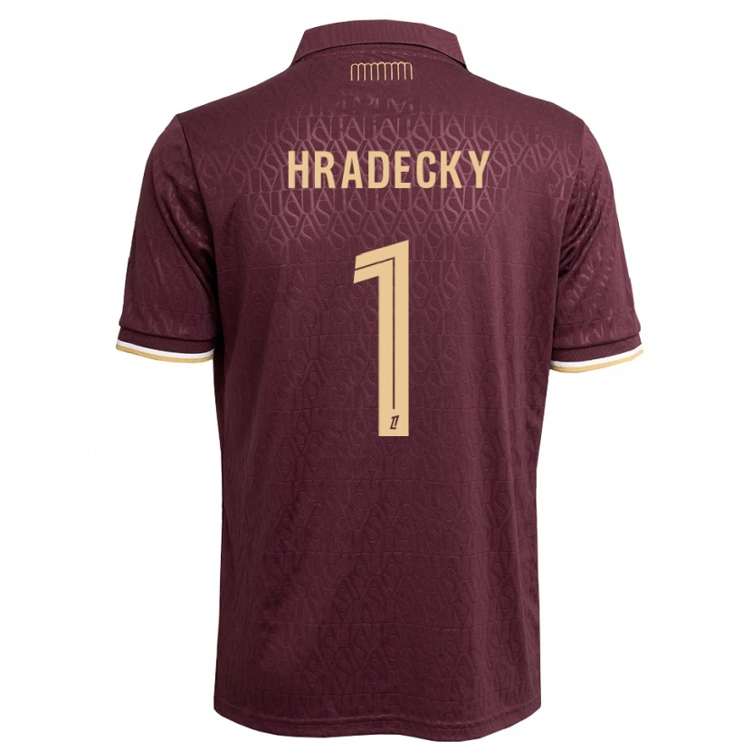 Danxen Heren Lukas Hradecky #1 Maroon Zandbruin Uitshirt Uittenue 2026/27 T-Shirt België