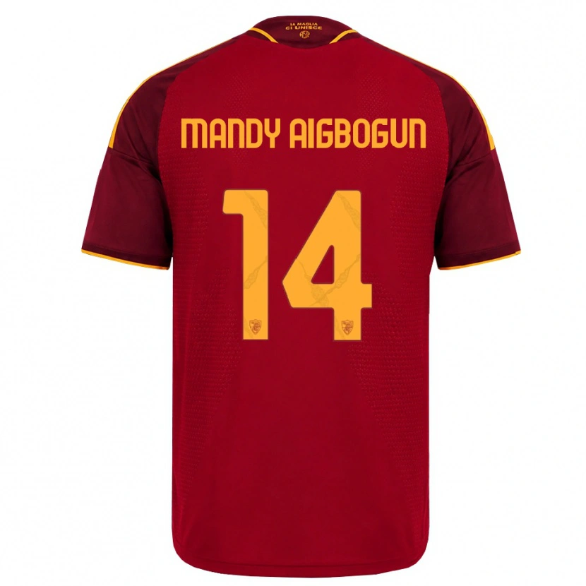 Danxen Heren Eseosa Mandy Aigbogun #14 Rood Gouden Geel Thuisshirt Thuistenue 2026/27 T-Shirt België