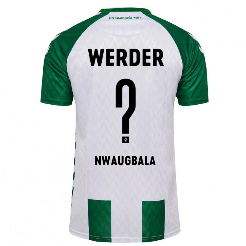 Danxen Heren Kevin Nwaugbala #0 Groen Wit Thuisshirt Thuistenue 2026/27 T-Shirt België