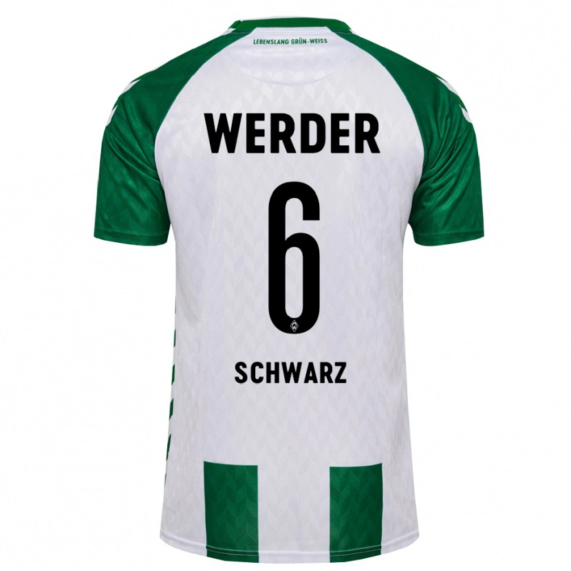 Danxen Dames Ricardo-Felipe Schwarz #6 Groen Wit Thuisshirt Thuistenue 2026/27 T-Shirt België
