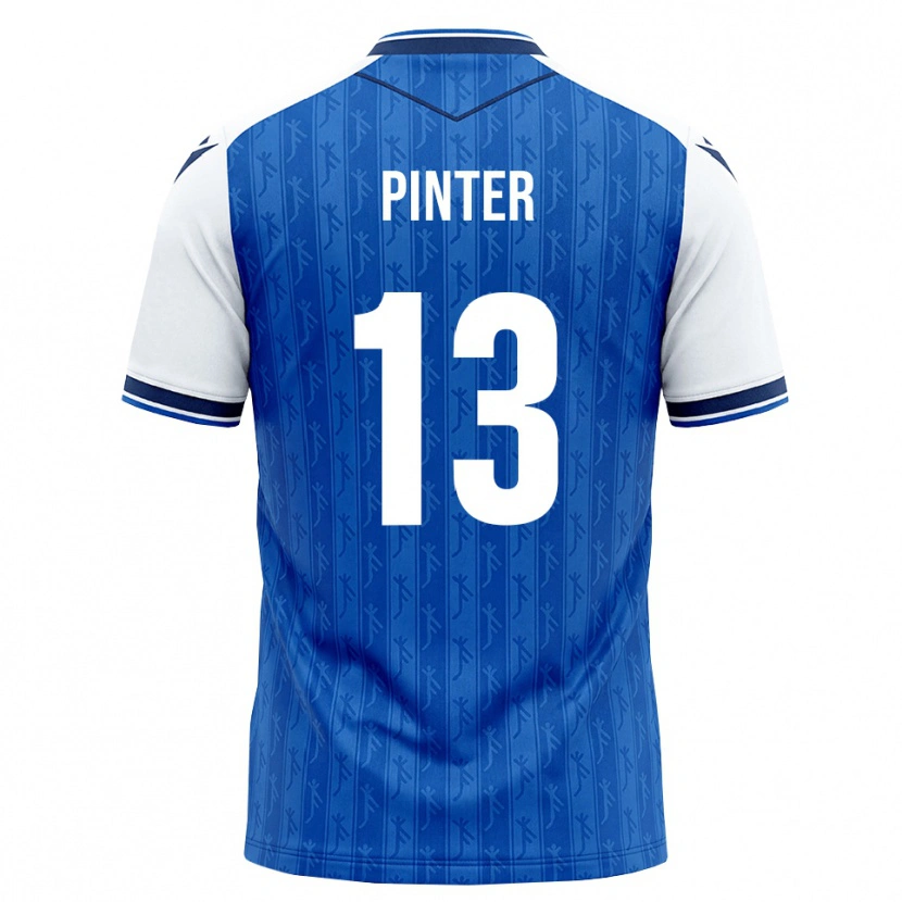 Danxen Heren Valentein Pinter #13 Koninklijk Blauw Wit Thuisshirt Thuistenue 2026/27 T-Shirt België