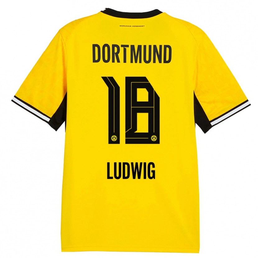 Danxen Dames Michel Ludwig #18 Geel Zwart Wit Thuisshirt Thuistenue 2026/27 T-Shirt België
